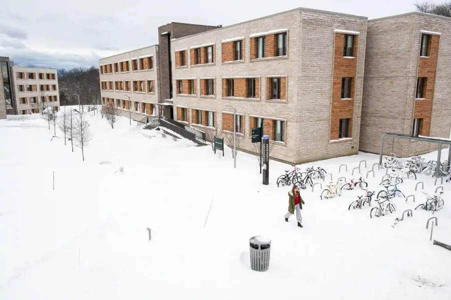 A Blizzard at Bard — frame 4
